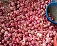 मुंबई: महंगाई की नई मार प्याज के भाव में बड़ा उछाल आखिर क्यों बढ़ी कीमतें