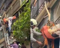 मुंबई में 10वीं मंजिल से कूदी महिला पेड़ पर अटकी, टहनियों से लटकने का वीडियो आया साम
