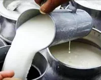 मुंबईकरों के बजट पर महंगाई की नई मार, 1 सितंबर से दूध के थोक भाव में ₹9 की बड़ी बढ़ोतरी