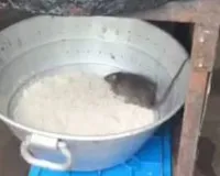 नालासोपारा में तबेला चहा-जमजम बिरयानी आउटलेट का वीडियो वायरल, खाने के बीच चूहा दिखने का दावा