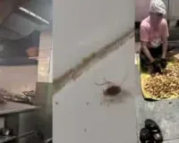  कोलाबा : 108 साल पुराने ओलंपिया कॉफी हाउस का लाइसेंस सस्पेंड... किचन में यूरिनल, फ्रिज में मीट का खून और कॉकरोच भी मिले