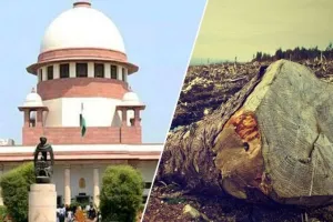 मुंबई: आरे कॉलोनी में अब तक 2,141 पेड़ गिराए गए, MMRCL मेट्रो का काम चालू