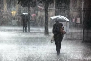 मराठवाड़ा में पिछले एक सप्ताह में भारी बारिश के कारण हुई घटनाओं में 31 लोगों की मौत