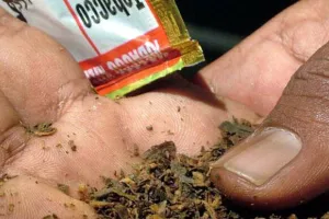 महाराष्ट्र के नवी मुंबई में 8.93 लाख रुपये के प्रतिबंधित तंबाकू उत्पाद जब्त...!