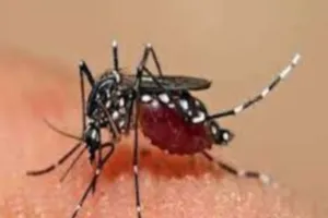 ...डेंगू का कहर प्रयागराज में, एक ही दिन में चार की मौत, 463 पहुंची कुल मरीजों की तादाद