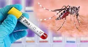 5 साल की बच्ची जीका से संक्रमित मिली...