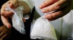 ठाणे जिले में 19.6 लाख रुपये की मेफेड्रोन ड्रग बरामद...  भाग रहे आरोपी को पुलिस ने दबोचा 