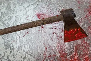 पालघर जिले में साले ने जीजा को कुल्हाड़ी से वार कर उतारा मौत के घाट... गिरफ्तार