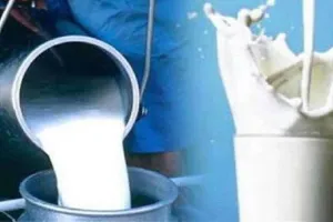 अब मुंबई में आज से अमूल के बाद अब बढे गोकुल दूध के दाम...