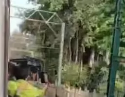 मुंबई के लोकल ट्रेन में शख्स का खतरनाक स्टंट....सोशल मीडिया पर लाइक्स के लिए लगा दी जान की बाजी