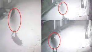 महाराष्ट्र के रायगढ़ में एक ही बिल्डिंग के 20 फ्लैट में चोरी... घटना से मची सनसनी