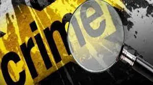 पालघर जिले में मजदूर पति से छुटकारा पाना चाहती थी महिला... फिर उसने शख्स से मिलकर सिर और गर्दन पर किया वार