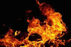 ठाणे के घोड़बंदर रोड स्थित एक रेस्तरां में लगी भीषण आग... तीन कर्मचारी झुलसे