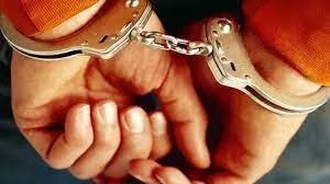 ठाणे में जमानत पर छूटा हिस्ट्रीशीटर ऑटोरिक्शा चोरी के आरोप में फिर गिरफ्तार...