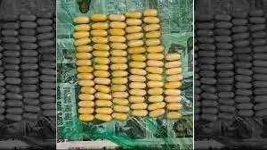 मुंबई के हवाई अड्डे से डीआरआई की टीम को मिली बड़ी कामयाबी... 30 करोड़ की कोकीन के साथ दो नाइजीरियाई गिरफ्तार