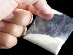 महाराष्ट्र के ठाणे शहर के पास प्रतिबंधित मादक पदार्थ बरामद... दो लोग गिरफ्तार