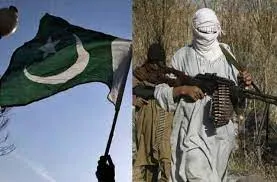 तालिबान बना पाकिस्तान के लिए सिरदर्द... अफगानिस्तान में आतंकवादियों के कारण शांति और स्थिरता हुई प्रभावित