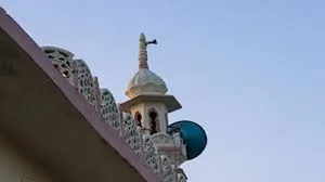 मुंबई के वडाला में घर के सामने स्लम की मस्जिद पर 19 लाउडस्पीकरों ने उड़ाई बुजुर्ग की नींद... हाईकोर्ट से मांगी मदद
