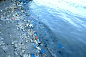 दुनिया के महासागरों में भारी मात्रा में प्रदूषण, १७१ ट्रिलियन से अधिक प्लास्टिक के टुकड़े तैर रहे हैं‌