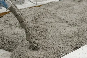 मुंबई की सभी सड़क को सीमेंट कंक्रीट करते समय पेड़ो की करे रक्षा...