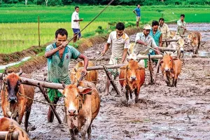 नमो शेतकारी महा सम्मान निधि को महाराष्ट्र सरकार ने दिखाई हरी झंडी, अब किसानों को मिलेंगे 12 हजार