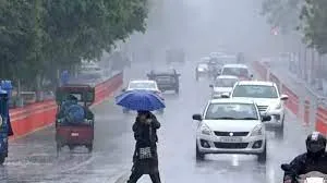 तमिलनाडु में भारी बारिश...  दिल्ली समेत इन राज्यों में छाया घना कोहरा