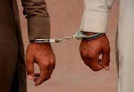 नशीले पदार्थों की बिक्री मामले में दहानू से दो गिरफ्तार 