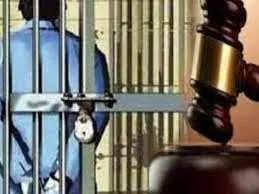 मुंब्रा में सूचना अधिकार कार्यकर्ता की हत्या के मामले में तीन को आजीवन कारावास...