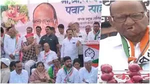 जब तक सड़क पर नहीं उतरेंगे, सरकार नहीं सुनेगी - शरद पवार