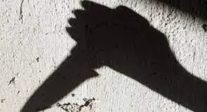 सांगली जिले के एक स्कूल में सहपाठी पर छात्र ने किया चाकू से वार... धारा 307 के तहत 15 वर्षीय आरोपी पर केस दर्ज