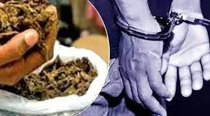 मुलुंड के नवघर इलाके में ऑनलाइन गांजा बेचने वाला गिरफ्तार... 