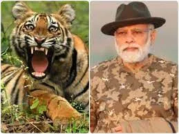 महाराष्ट्र में बढ़ती बाघ की आबादी के साथ यह देश के सबसे तेजी से बढ़ते बाघ अभ्यारण्यों में से एक है - मोदी