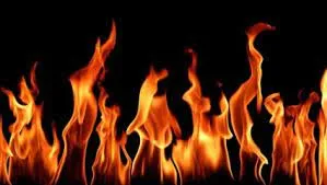 ठाणे में 7  आवासीय इमारत में आग...  बिजली के 50 मीटर जलकर खाक