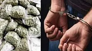 पनवेल के कलंबोली में 4 किलो गांजे के साथ 1 गिरफ्तार