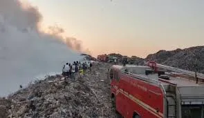 भायंदर / सॉलिड वेस्ट प्लांट में आग लगने से उत्तन में आम के पेड़ों पर पड़ा असर...