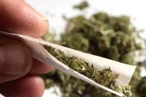 मुंबई: मेकअप आर्टिस्ट बैंकॉक से 9.72 करोड़ रुपये की हाइड्रोपोनिक वीड की तस्करी करने के आरोप में गिरफ्तार 