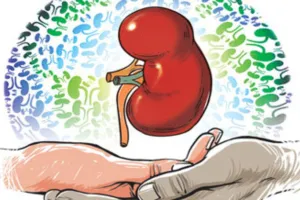 मुंबई में `बॉम्बे` ब्लड ग्रुप, डॉक्टरों ने किया इस दुर्लभ समूह वाली महिला का किडनी ट्रांसप्लांट