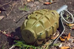 बेंगलुरु में होटल सप्लायर के बैग से हैंड ग्रेनेड मिलने के बाद हड़कंप