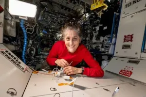 विष्णुदेव साय ने कहा भारतीय मूल की साहसी नारी सुनीता विलियम्स