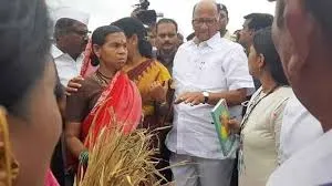 महाराष्ट्र : शरद पवार ने महाराष्ट्र में किसानों द्वारा आत्महत्या किए जाने के आंकड़ों पर चिंता जताई 