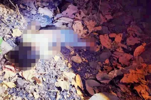 पालघर: फिल्म रमन राघव से प्रेरित होकर एक 13 साल के बच्चे ने अपनी चचेरी बहन की हत्या कर दी