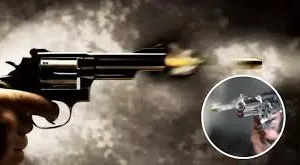 अंबरनाथ में प्रसिद्ध उद्योगपति विश्वनाथ पनवेलकर के घर के बाहर अज्ञात हमलावरों ने फायरिंग