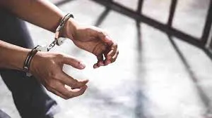 मुंबई : 25 वर्षीय ऑटो-रिक्शा चालक 11.7 लाख रुपये की नकदी चोरी करने के आरोप में गिरफ्तार