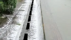 मुंबई : बारिश के कारण शहर के जलाशयों में झीलों का जलस्तर 38.5 प्रतिशत