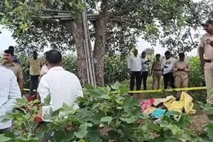 जलगांव : खेत में बिजली के तार से करंट लगने से एक ही परिवार के पांच लोगों की मौत