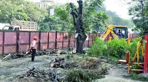 मुंबई : एमएमआरडीए को मेट्रो लाइन 6 के निर्माण के लिए 34 गैर-मैंग्रोव पेड़ों को काटने की अनुमति 