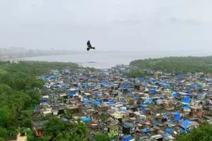 मुंबई : मढ के तटीय क्षेत्र  की निर्माण कार्यों से जुड़ी करीब २४ हजार फाइलें गायब; अदालत ने फटकार लगाते हुए उपनगर के जिलाधिकारी से स्पष्टीकरण मांगा