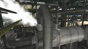 ठाणे : भिवंडी स्टीम वाटर प्लांट में क्लोरीन गैस का रिसाव; पांच कर्मचारी बेहोश