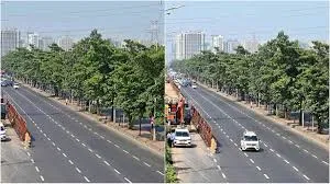 मुंबई : ईस्टर्न एक्सप्रेस हाईवे पर एलिवेटेड रोड परियोजना के लिए 706 पेड़ों की प्रस्तावित कटाई के बढ़ते विरोध; बीएमसी को एक कानूनी नोटिस 