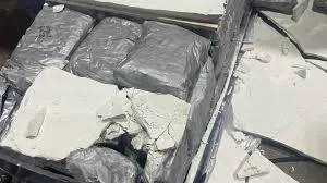 मुंबई: डीआरआई ने की बड़ी कार्रवाई; 42.34 किलोग्राम हाइड्रोपोनिक वीड जब्त